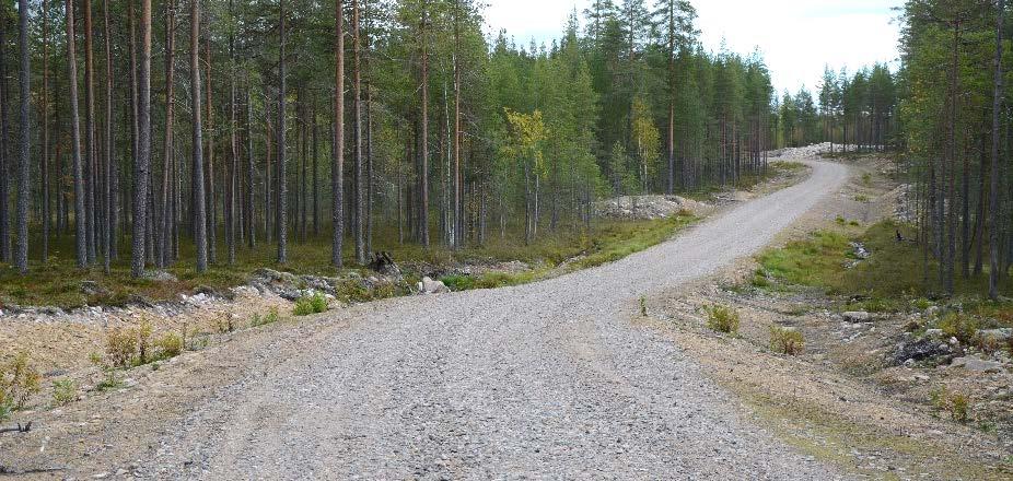 Markus Strandström Metsäteho Oy