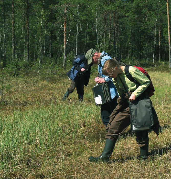 Kannan tilan selvittämiseksi lajia tulee etsiä letoilta ja muilta sille soveltuvilta kasvu paikoilta. Erityisesti Etelä-Suomen lettojen suojelutilannetta on tarpeen parantaa.