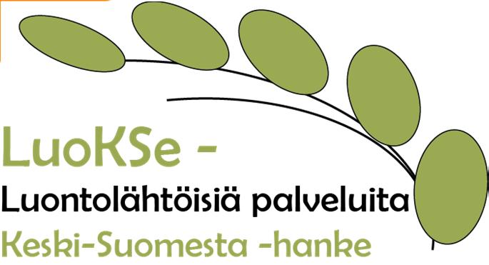 Tuohimetsä,