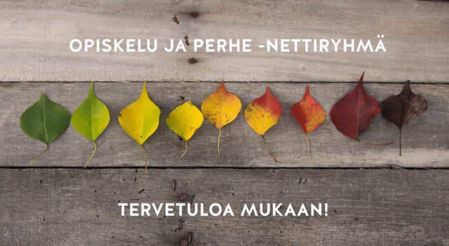 Kuva 1. Opiskelu ja perhe -nettiryhmän SoMe-markkinointikuva.