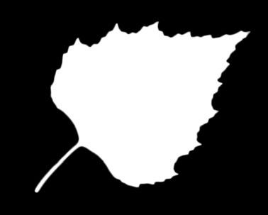 Muotoilu- & hoitosuihke