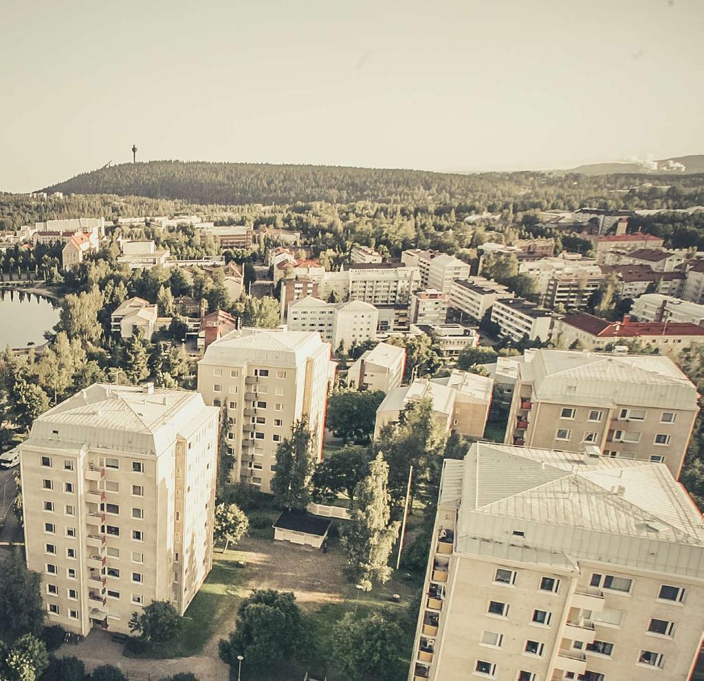 Nikulainen NIIRALAN KULMA OY:N ASUKASLEHTI 13.6.