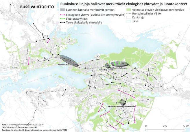 Raitiotien ensimmäisen toteuttamisvaiheen merkittävät vaikutukset luonnonympäristöön kohdistuvat Hallilan Vackerinpuistoon ja Ruskon varikkoalueelle.