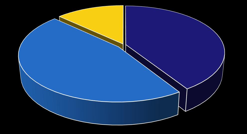 Työn laatu 2009 valmistuneilla Yli 40% vastanneista on