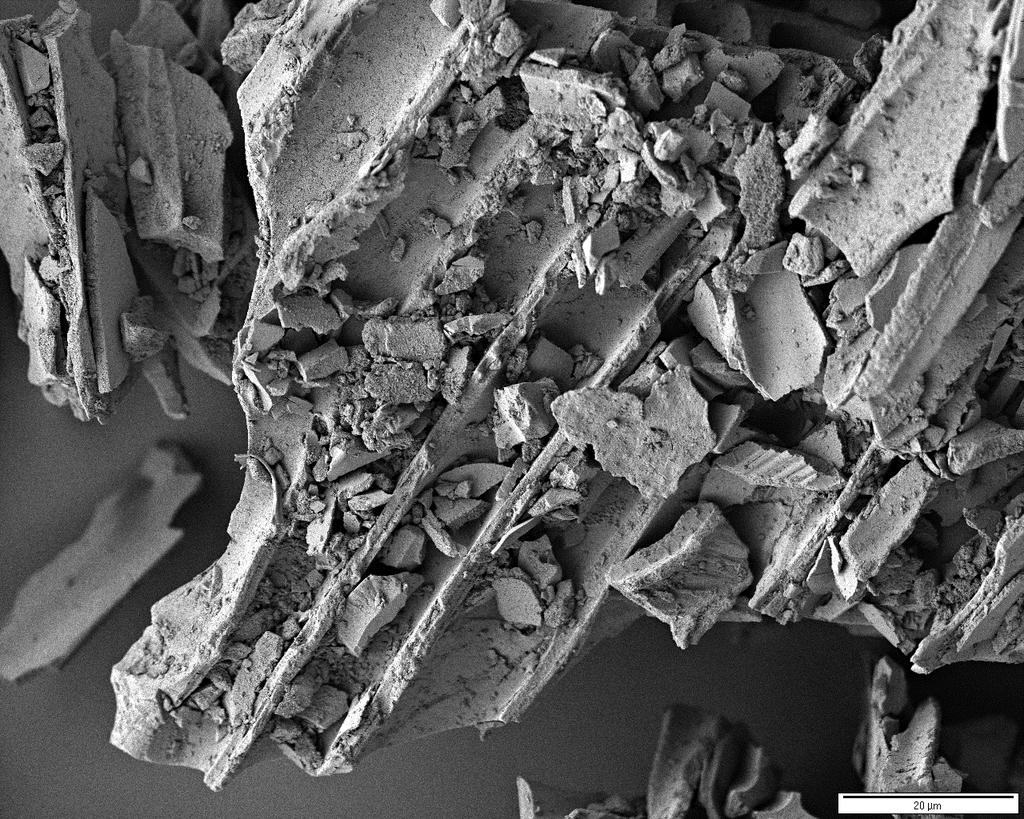 ja mitta on 20 µm.