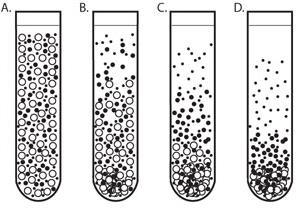 SENTRIFUGOINTI = CENTRIFUGATION