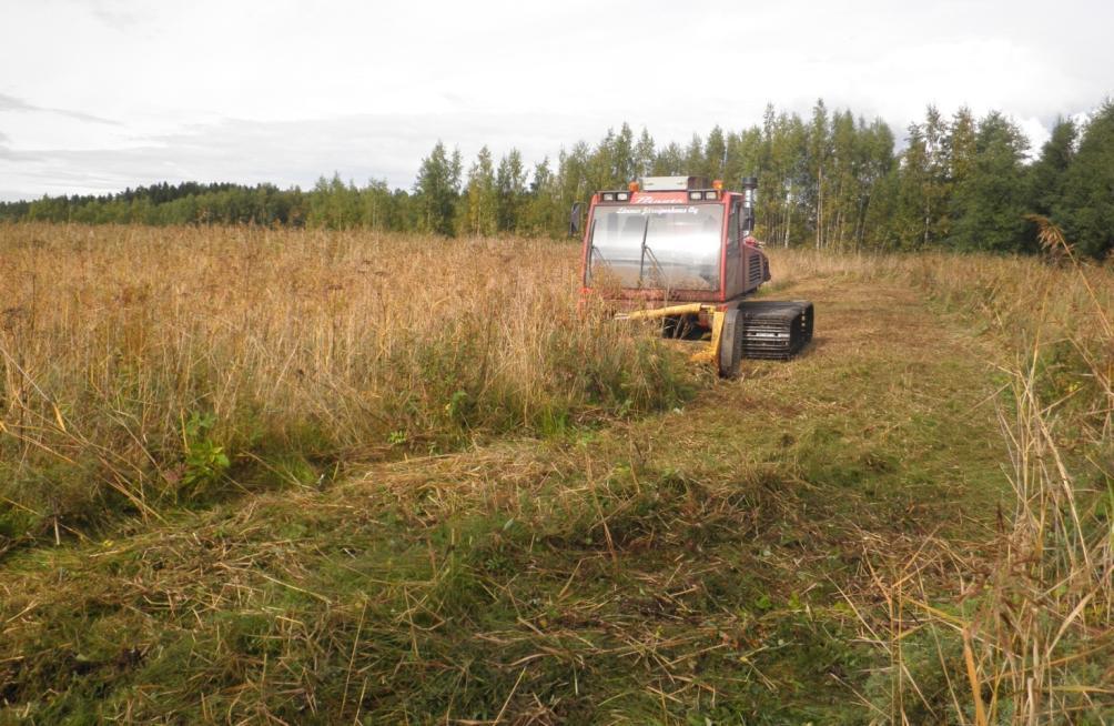 Viiden tunnin työn tuloksena