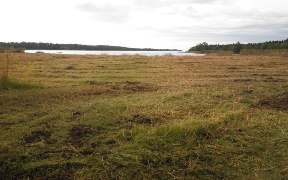 peruskunnostettua