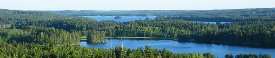 KAURIANSALMEN MAISEMATORNI Maisematorni, laavu ja tulistelupaikka Kauriansalmen Painalluksenmäellä on jo sinänsä näkemisen arvoinen kohde, jonne voi poiketa ihailemaan avaraa maisemaa tai vaikkapa