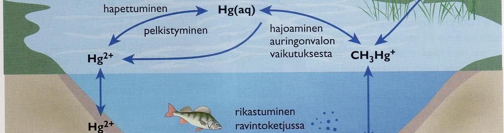 ympäristössä