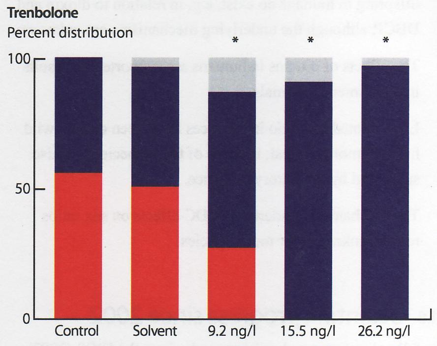 Tremboloni (synteettinen androgeeni hormoni ) lisäyksellä vähitellen