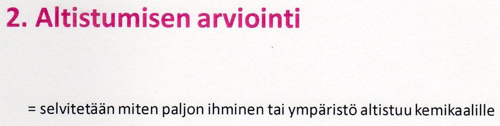 -asetuksesta, Jouni