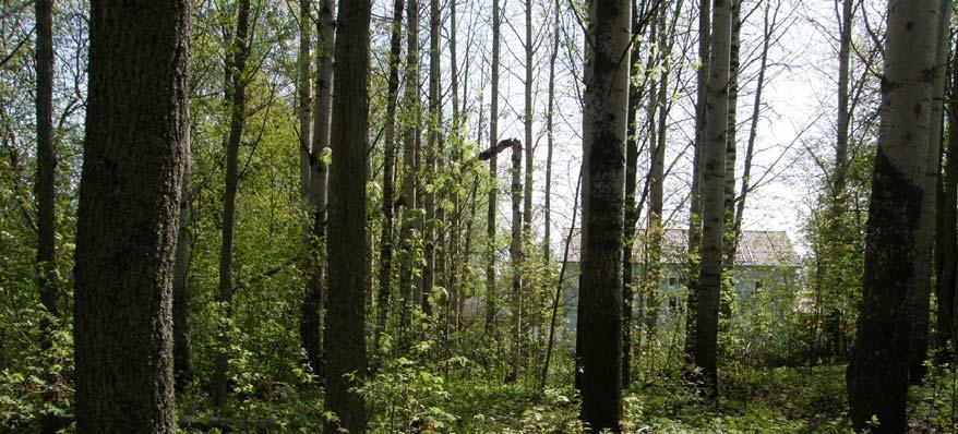 3 Vääräsaaren asutus on keskittynyt saaren länsi- ja eteläreunaan. Saaren metsäalue on suosittua lähivirkistysaluetta, joten maasto on ulkoilun vuoksi paikoin kulunutta.