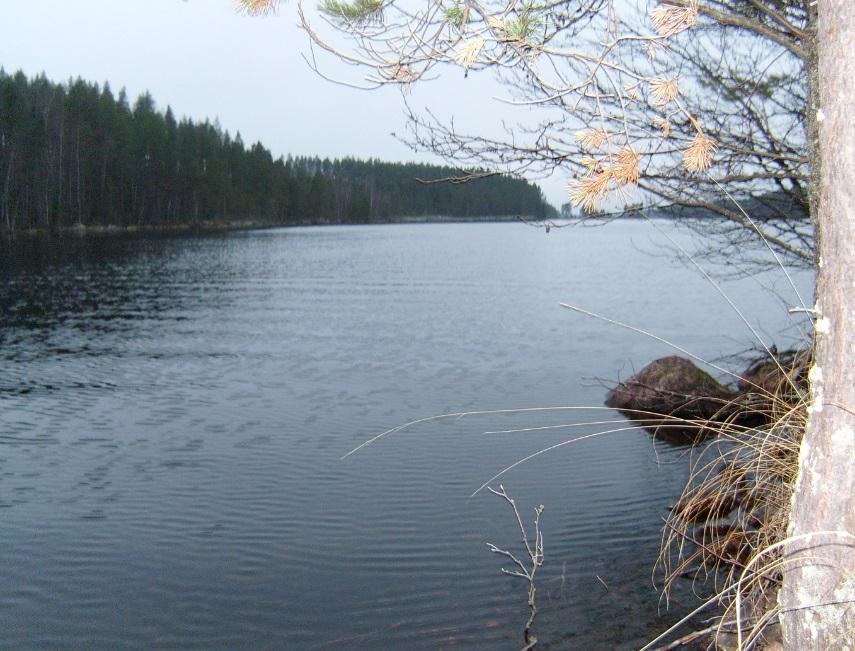 LEPPÄVIRRAN KUNTA Tulilahden ja Säyneislammen osalta Kaavaselostus Ranta-asemakaava koskee Leppävirran kunnassa osittain tiloja Itkosensalo 420-423-56-8 ja Sortanniemi 420-423-9-172.