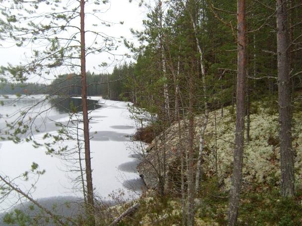 Itäosan pitkiin lahden vesi on ruskeaa, ranta- ja vesikasvilajisto indikoi selvästi dystrofisuutta. Itärannat todettiin joko kallioisiksi tai korpi- ja rämerannoiksi.