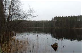 Lahden leveys suunnittelualueella on vaihdellen n. 230-250 metriä. Ranta on lahden perukasta aina lahden rannalle sijaitsevalle metsästysmajalle asti jyrkkärinteinen ja paikoin kallioinen.