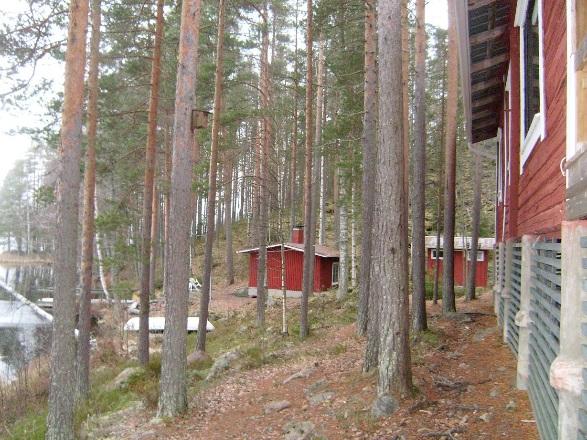 Tulilahden ja Säyneislammen osalta 6 Suunnittelualueelle on tehty luontoselvitys kesällä 2015. 3.