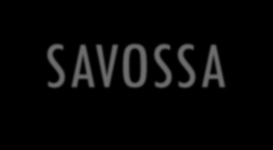 LÄHISUHDEVÄKIVALTATYÖ ETELÄ-SAVOSSA Hajautettu väkivaltatyön malli Kattava, perustason väkivaltatyön rautalankamalli organisaatioiden eri tasoille 1.