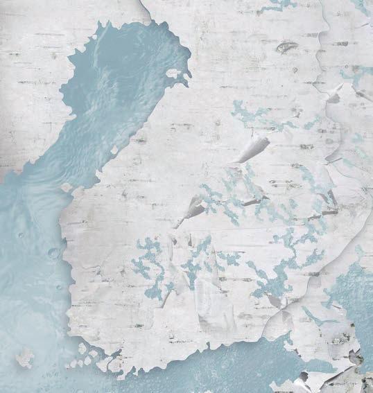 Summer in Finland and Other Seasons, 2016, videoteos