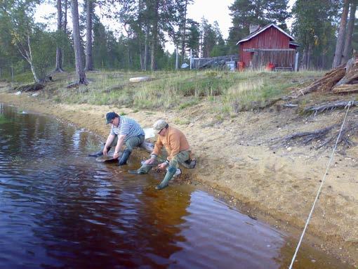 Raskasmineraalitutkimus Raskasmineraalitutkimus