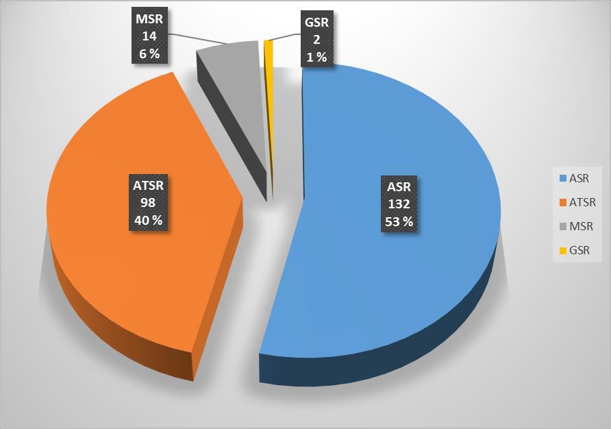 Raporttityyppi Tähän toivotaan parannusta