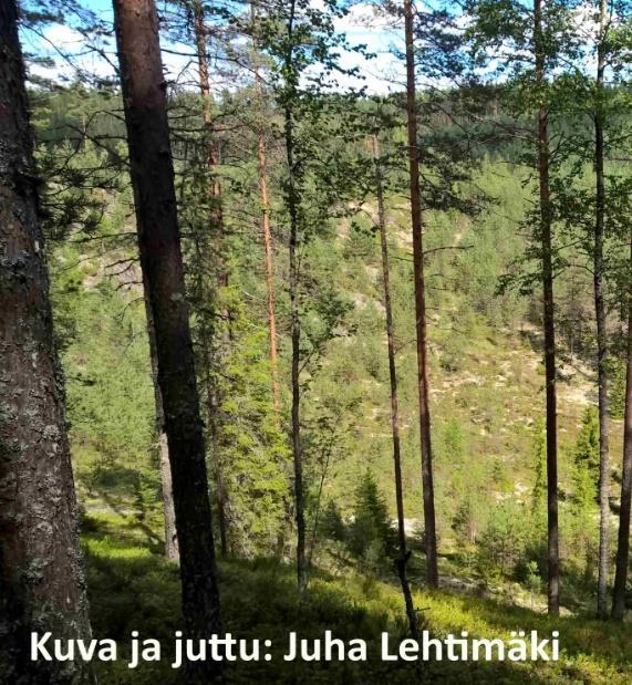 Hietasyrjänkankaan alue on valtakunnallisesti merkittävä harjualue, joka kuuluu Natura 2000-verkostoon. Maasto on mainiota kaikenlaiseen ulkoiluun ja siellä on aikoinaan pidetty mm.