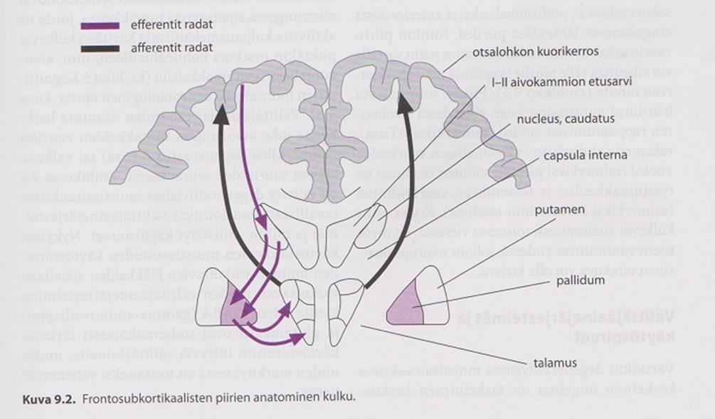 25 kortikaaliset muistisairaudet taas vaurioittavat tyvitumakkeita, mikä voi aiheuttaa esimerkiksi psykoottisia oireita, masennusta, apatiaa, ahdistuneisuutta ja pakko-oireita.