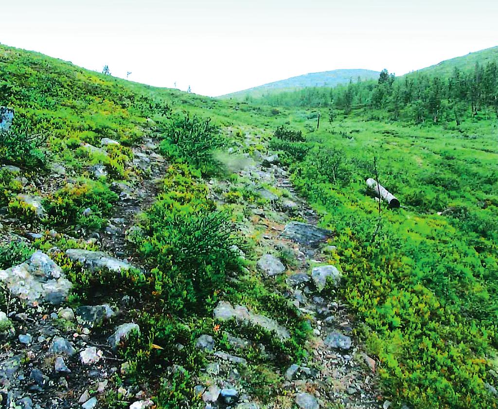Liite 2. Vuonna 2012 sattunut kuolemaan johtanut tapaturma Kuva 3. Kuva ajoreitin kohdasta, josta mönkijä liukui oikealle ja jäi kyljelleen n. 7 metrin päähän kuvasta oikealla.