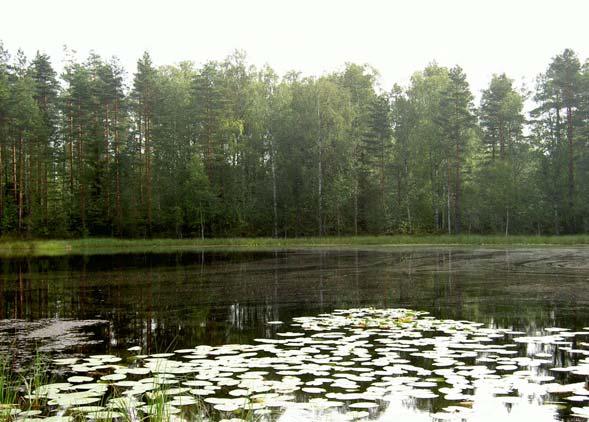 maankäyttöä suunniteltaessa. Molemmat suot tulisi säilyttää luonnontilaisina eli metsänhoidollisten toimenpiteiden ulkopuolella.