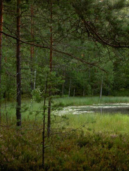 7 Kartta- ja maastotarkastelun perusteella sekä Heposuo että sen ja Kaakkurilammen välissä sijaitseva suo ovat ojittamattomia.