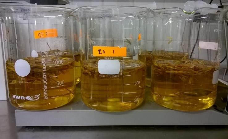 Biosuodin - esimerkkejä Orgaaninen sorptio-typpinen suodin: Olkisuodin: Olki sitoo ioninvaihtoperiaatteella typpeä. HAMK:in suorittamissa kokeissa max.