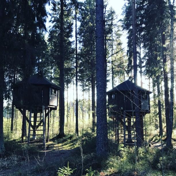 Päivien aikana oli myös mahdollisuus tutustua uusien ruoka-artesaanien tuotteisiin ja myös ostaa niitä päivien ajaksi