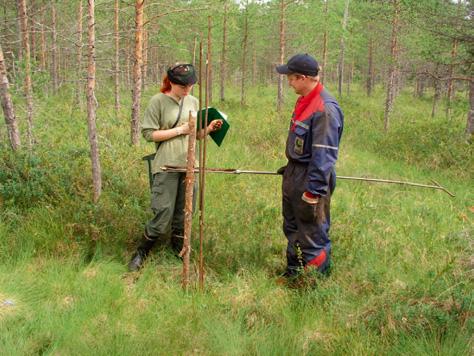 Ari Luukkanen Turvekerrostumat Lapinlahdella vuosina 2002 ja 2004 tutkitut suot ovat keskisyvyydeltään hieman alle suomalaisen suon keskitason eli 1,2 m.