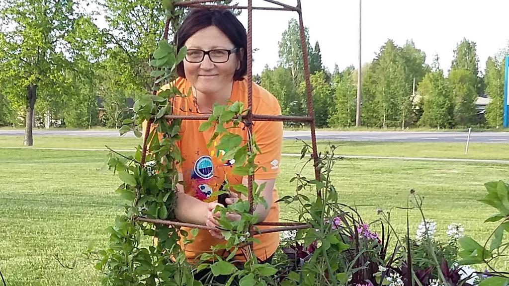 Ansioitunut jäsen 2016 