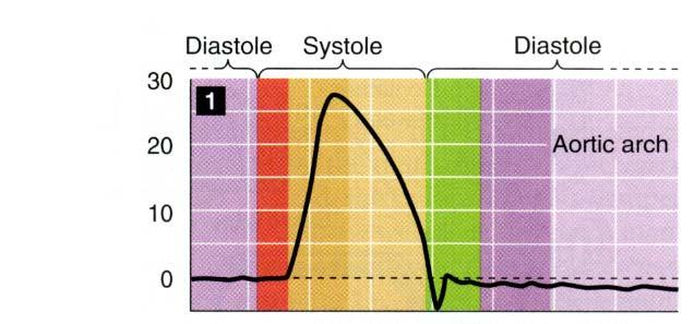 1 Sydän sysää liikkeelle virtausaallon Sydämen ejektiovaiheessa virtaus aortan kaaressa on voimakasta (jopa 30 l/min) virtaus painottuu systoleen diastolen aikana samassa segmentissä virtaus pysähtyy