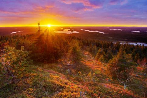 Keskiviikkona 15.3.2017 klo 18.00 Maise tyksestä kuvausprosesseissa.