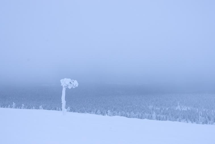 PETRI