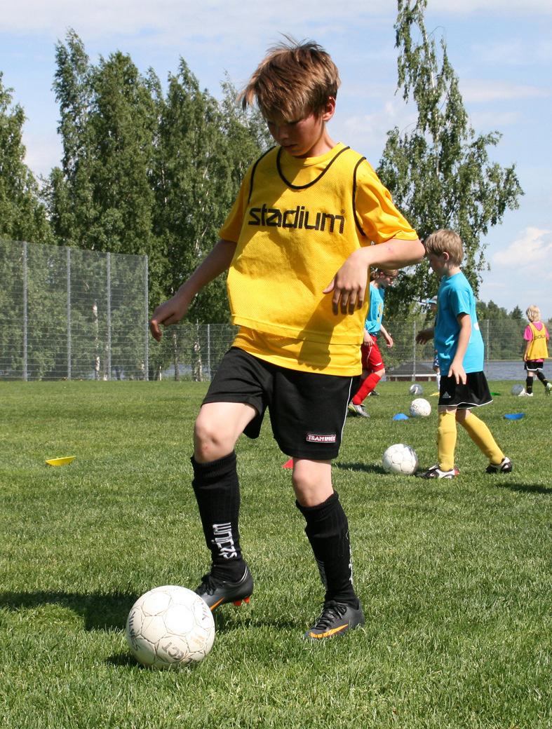 Painotuksina toteutetuissa hankkeissa on ollut terveyttä edistävä liikunta, osaamisen kehittäminen, uusien palvelujen ja tapahtumien kehittäminen, työttömien aktivointi liikunnallisiin töihin esim.