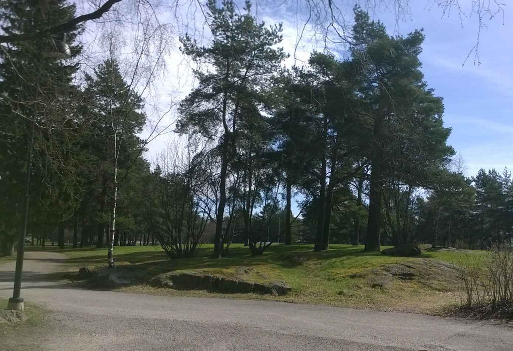 RAJAPINTA Viherverkkoselvitys