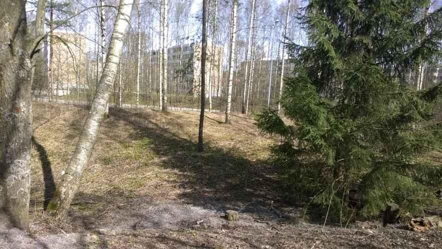 Hoitoluokkaan E1, urheilukentät ja liikunta-alueet kuuluu Kalevan keskuspuistossa sijaitseva pallokenttä.