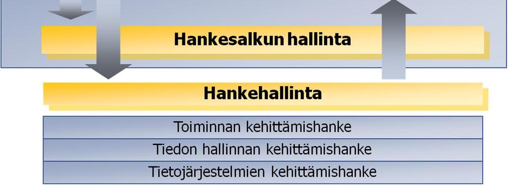 Arkkitehtuurilla myös ohjataan yksittäisen hankkeen suunnittelua ja hankkeessa kehitettävien toimintaprosessien ja tietojärjestelmien suunnittelua.