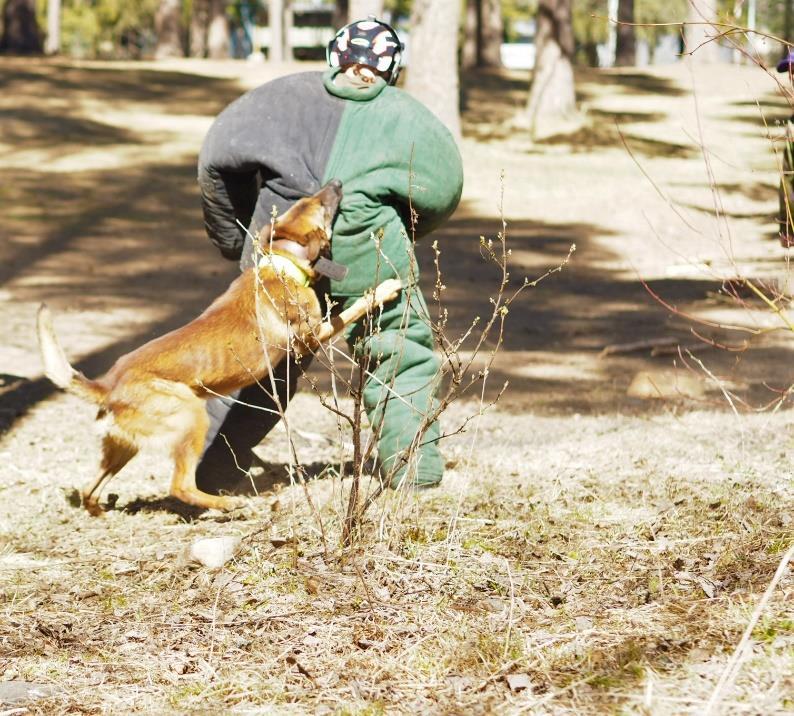 3 Mielenkiintoisen osuuden tarjosi myös Koira maamme turvana, jossa