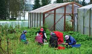Se kutsuu kello kuudeksi jumalanpalvelukseen. Palveluksen jälkeen nautitaan yhteinen aamiainen, jonka jälkeen kiiruhdetaan päivin toimiin. Kiiruhtamisesta voi puhua luostarissakin.