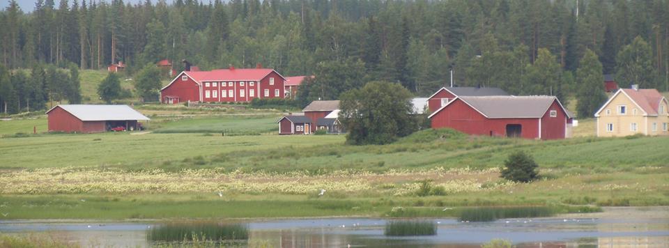 HAETTAVAT SOPIMUKSET 2017 1) Maatalousluonnon monimuotoisuuden ja maiseman hoito (lomake 253) 2) Kosteikon hoito (lomake 262) 3) Alkuperäisrotujen kasvattaminen