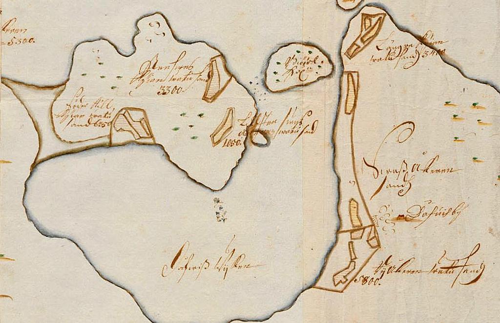 Liite 1. Dåvitsin laitumen alue vuonna 1707.