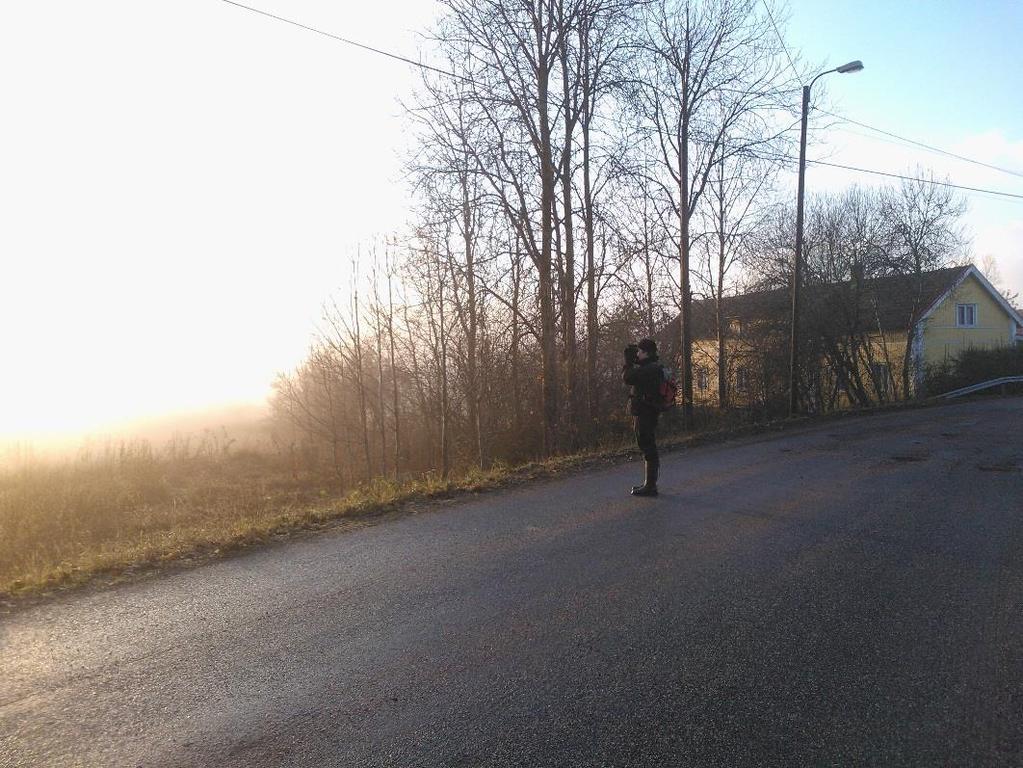 Laskenta-aika Syyslaskenta (1. 14.11.2016) Joululaskenta (25.12. 7.1.2017) Kevätlaskenta (21.