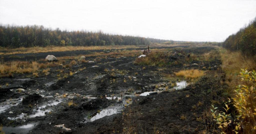 Jatkotutkimuksia Turvetuhkan ravinteiden (erityisesti kaliumin) riittävyys