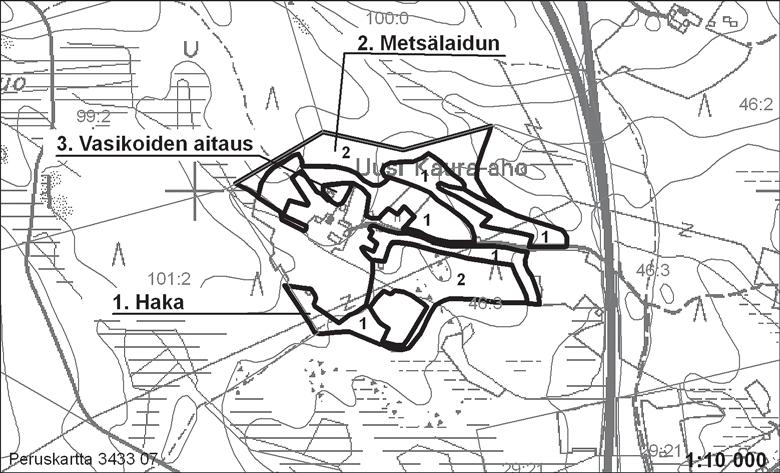 Näillä alueilla kenttäkerroksessa kasvaa puna-ailakin lisäksi metsä- ja nurmilauhaa sekä lehtomaisen kankaan lajeja, kuten käenkaalia, oravanmarjaa ja metsäimarretta.