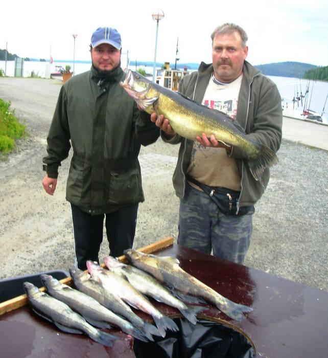 CUPIN SUURIMMAT KALAT 2008: SUURIN KUHA: Raimo Mäntynen (oik.