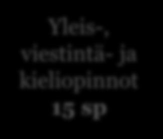 Akademi Yleis-, viestintä- ja